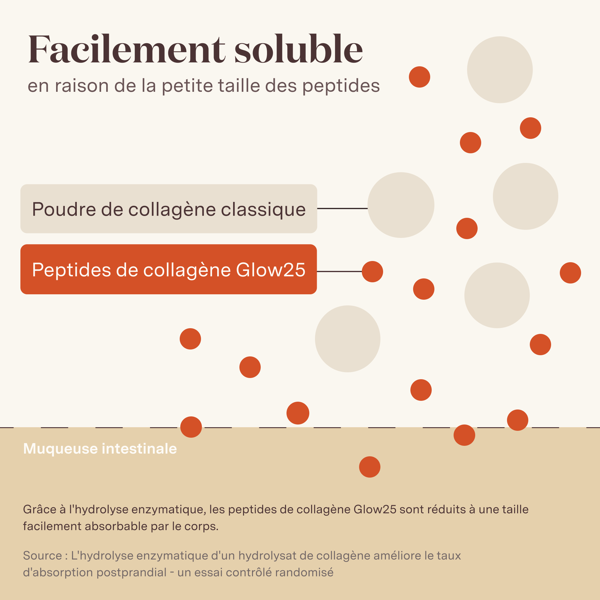 Glow25 Collagen - Our original with vitamin C - Image 8